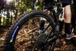 Michelin Wild AM2 Competition Line 29'' MTB Tire Tubeless Ready Foldable Gravity Shield GUM-X E-Bike Ready -SRAM Sales Store 19459796033925b9ce060.44978083