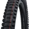 Schwalbe Big Betty 29'' MTB Tire Tubeless Ready Foldable Super Gravity Addix Soft E-Bike E-50 -SRAM Sales Store 209143560d435d37a6997.97203156