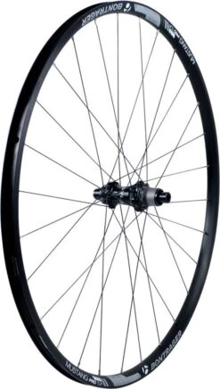 BONTRAGER 2017 Rear Wheel Mustang Pro 29 | TLR | 12x142mm DISC CL